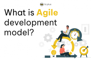 Agile development model