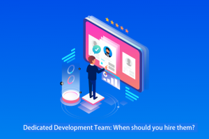 Dedicated Development Team