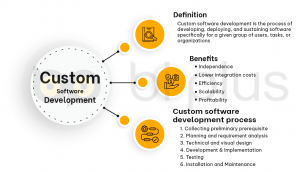 custom software